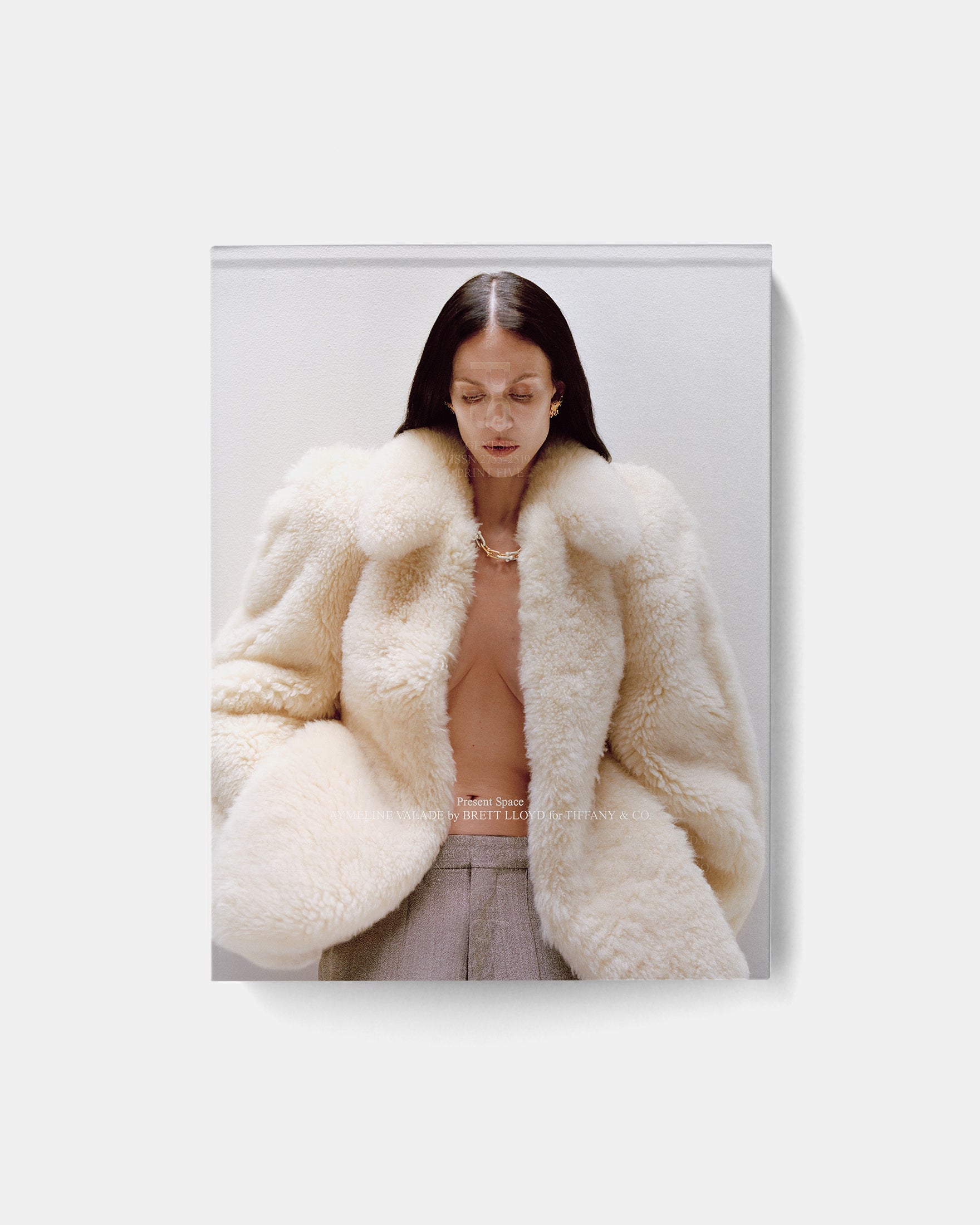 PRESENT SPACE, PRINT FIVE