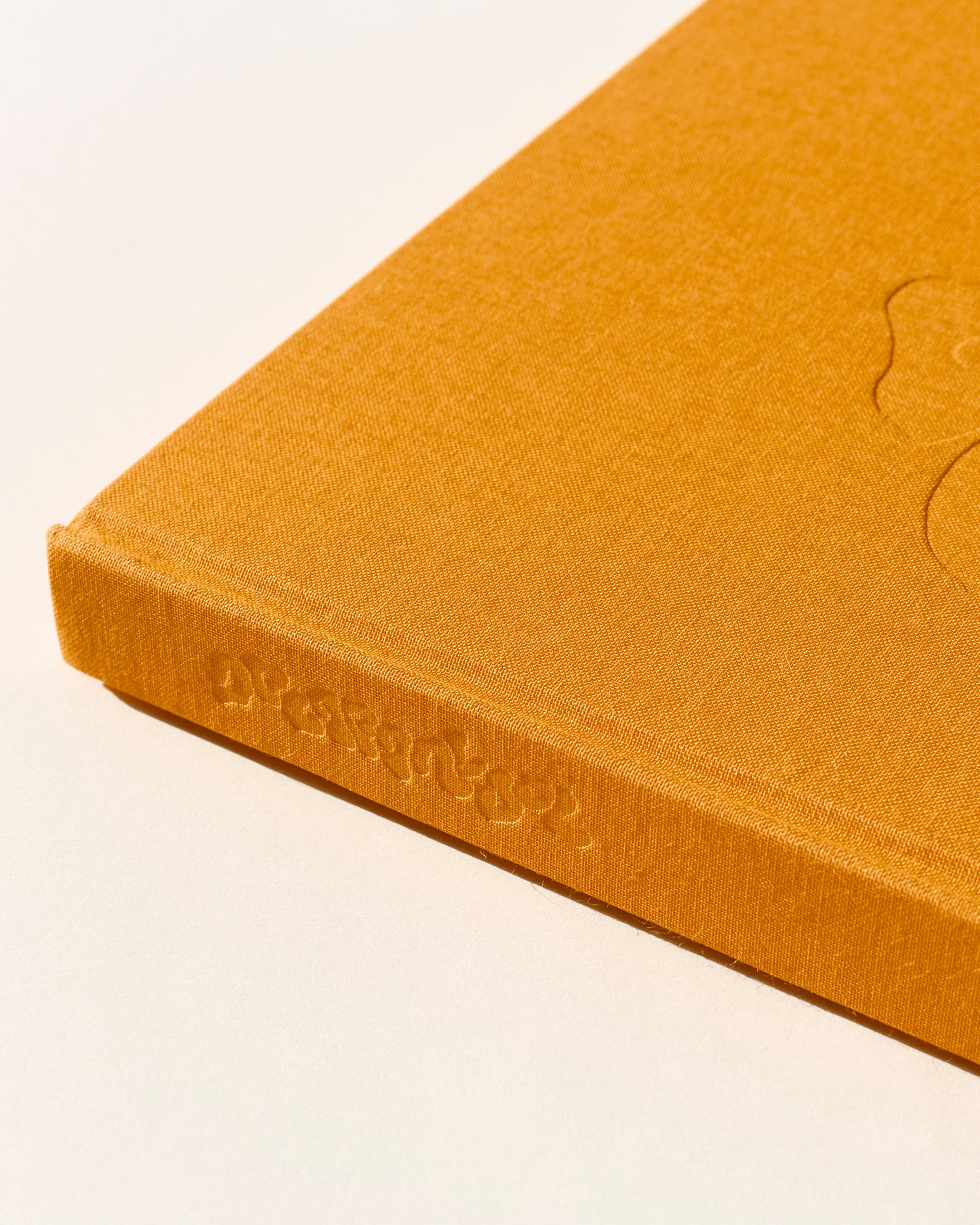 DE CARA AL SOL by DIEGO VOURAKIS