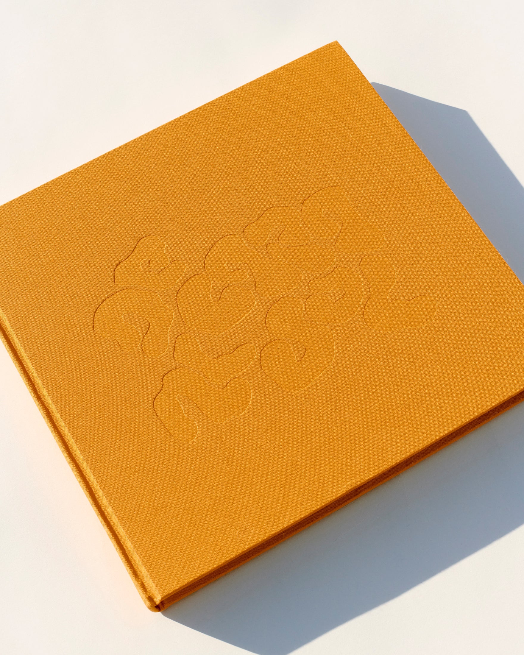 DE CARA AL SOL by DIEGO VOURAKIS