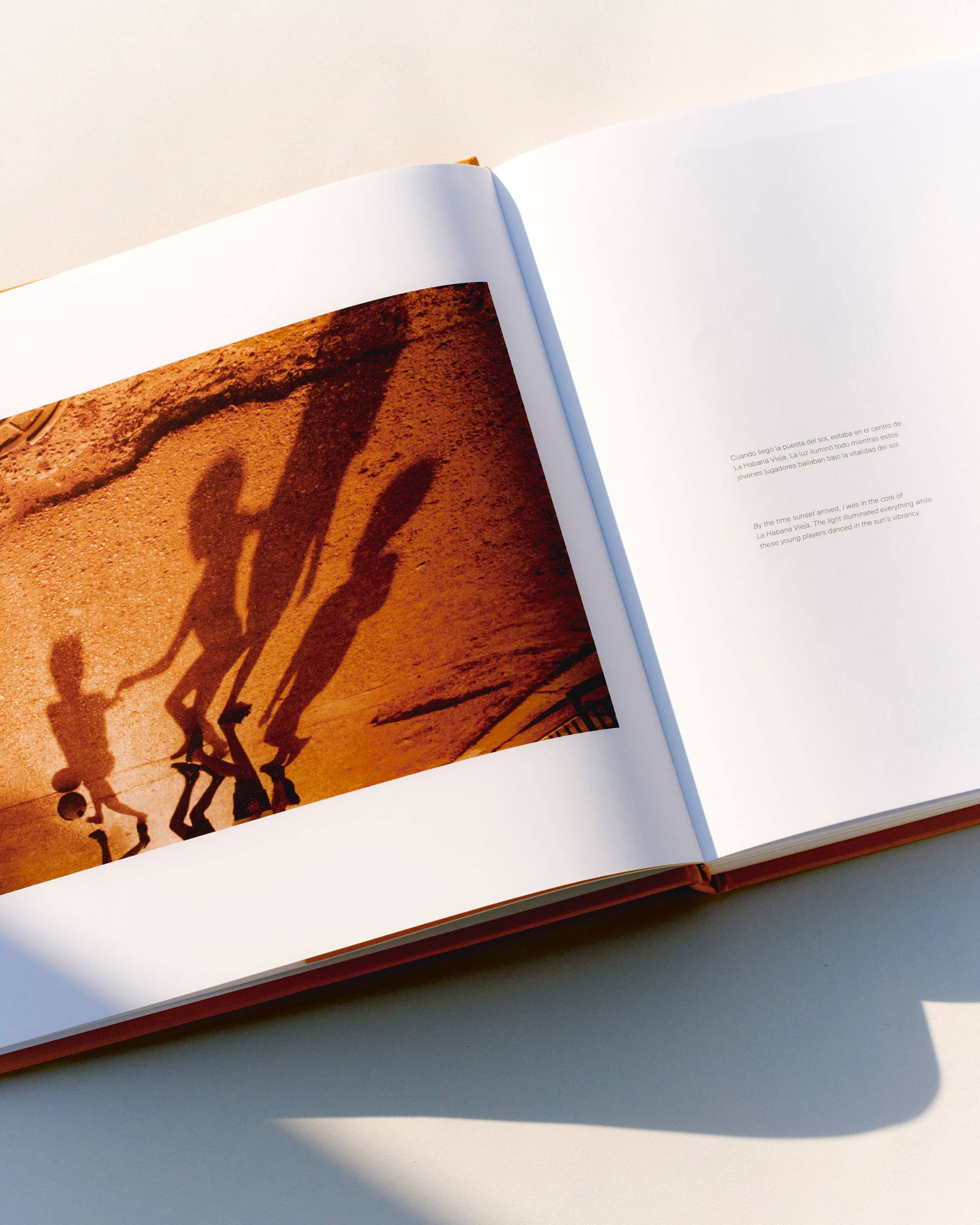 DE CARA AL SOL by DIEGO VOURAKIS